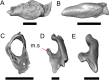 Fig. 25