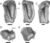 Fig. 36