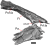 Fig. 9