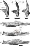 Fig. 24