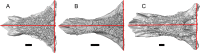 Fig. 29
