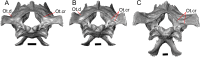 Fig. 38