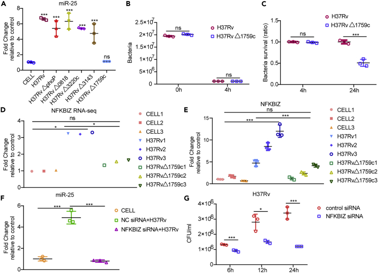 Figure 6