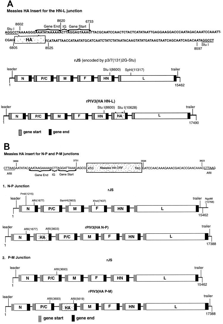 FIG. 1