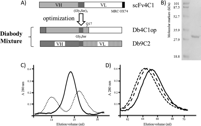 FIGURE 1.