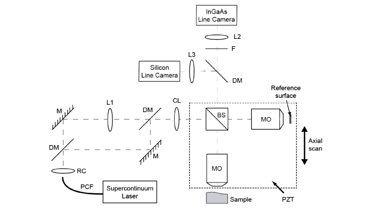 Fig. 1