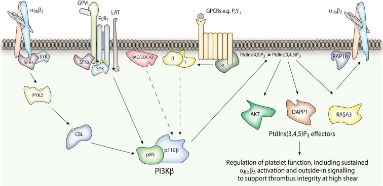 Fig. 3