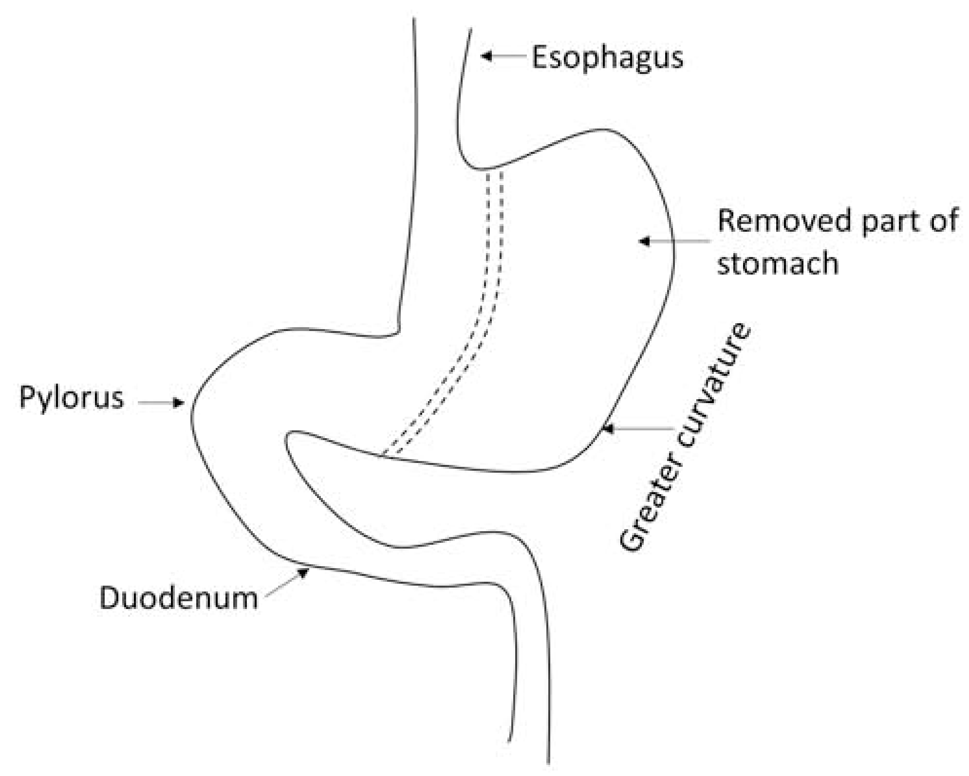 Figure. 1.