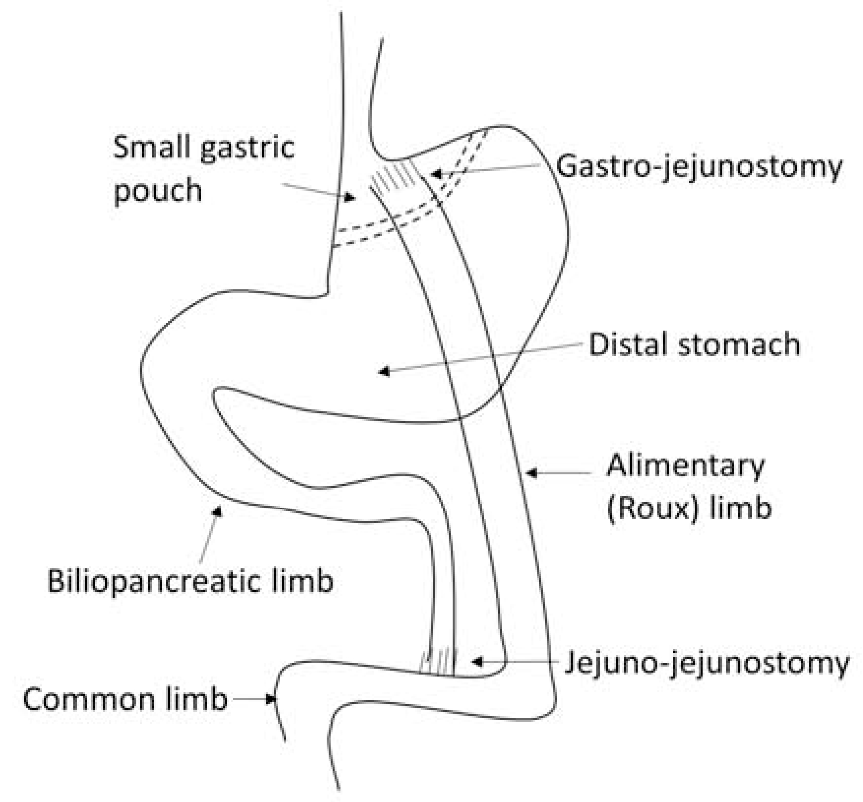 Figure. 2.