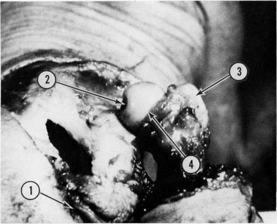 FIG. 9