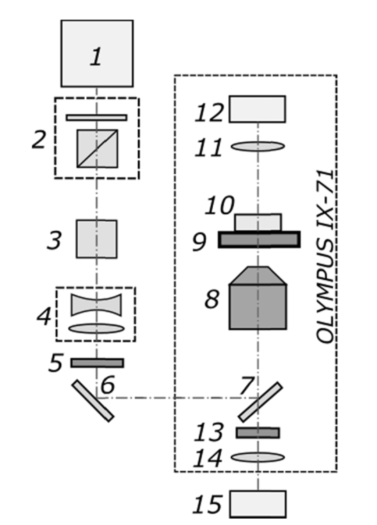 Fig. 1