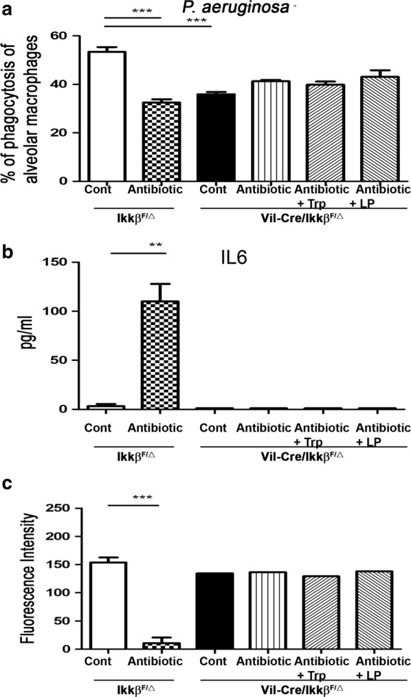 Fig. 6