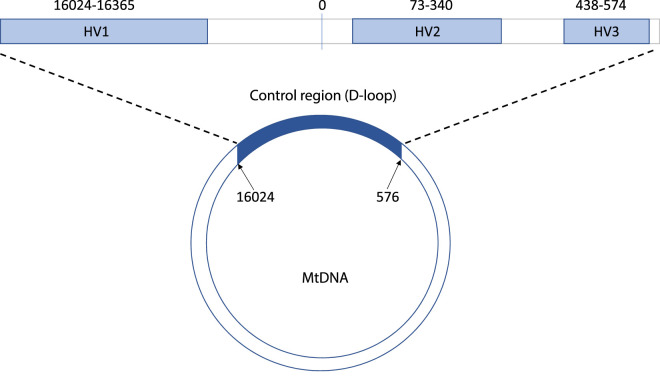 Figure 2.