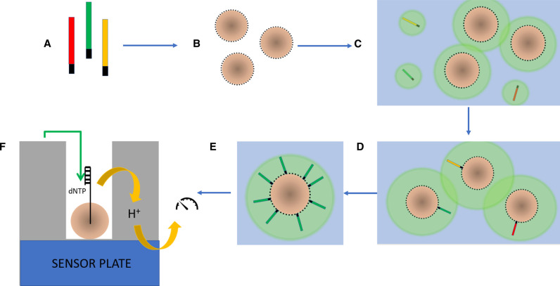 Figure 4.