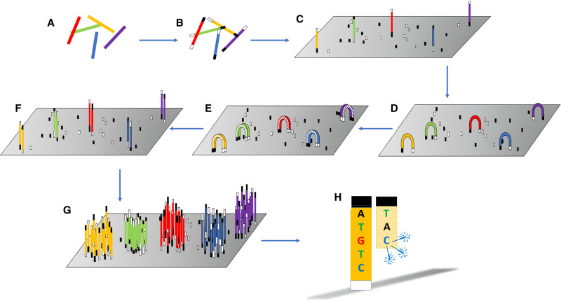 Figure 3.