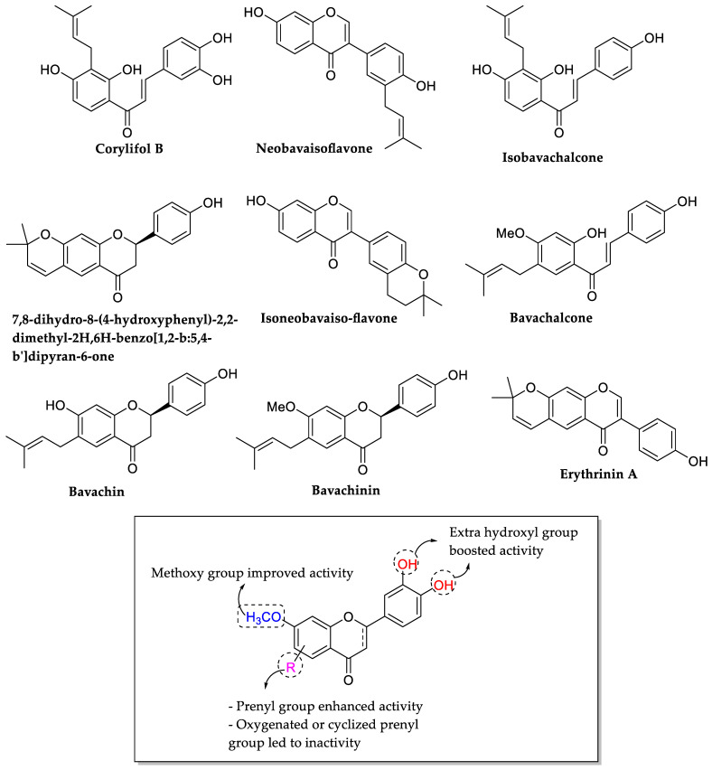 Figure 12