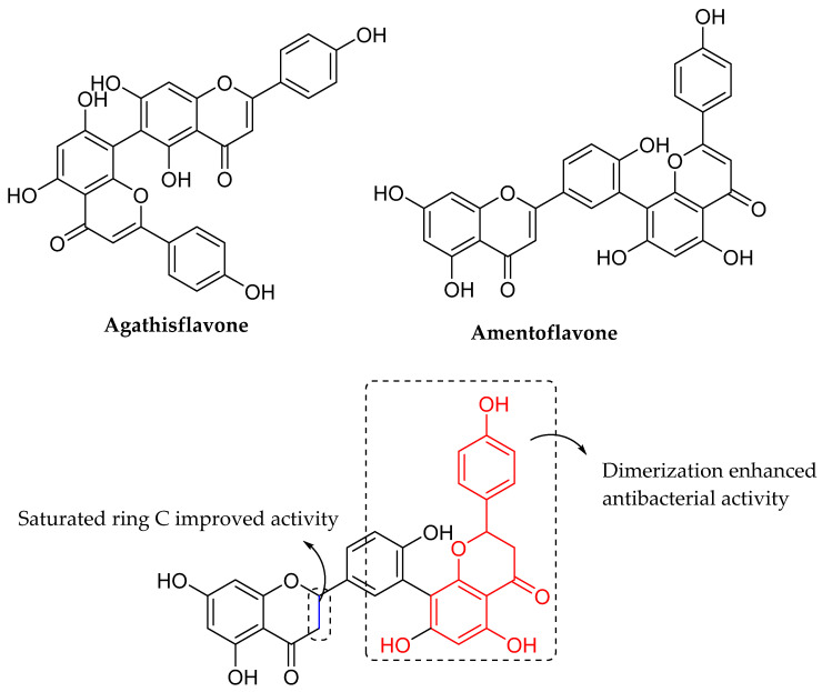 Figure 19