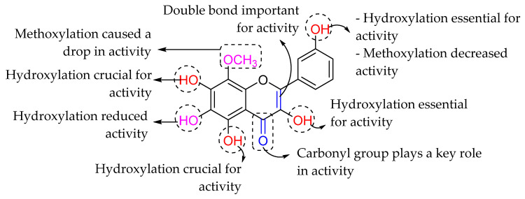 Figure 34