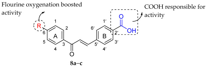 Figure 24