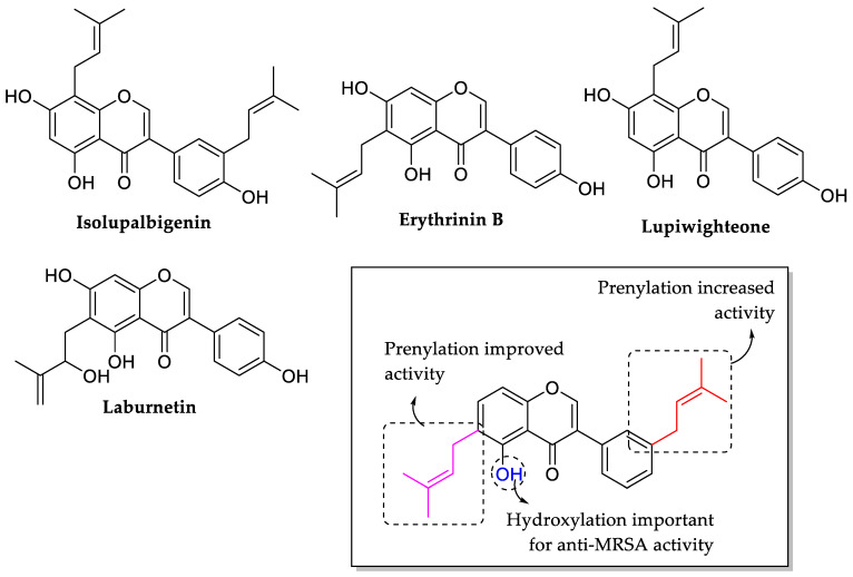 Figure 33