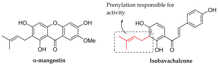 Figure 21