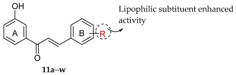 Figure 29