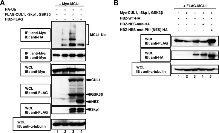 FIG 6