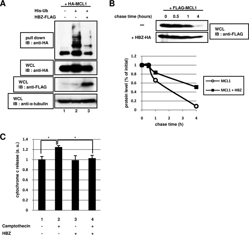 FIG 2