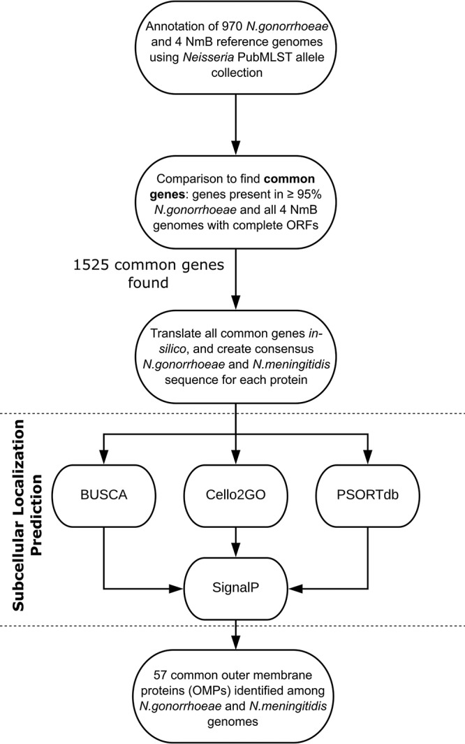 FIG 1