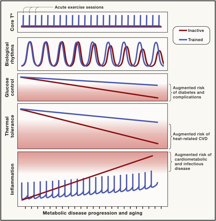 Figure 5