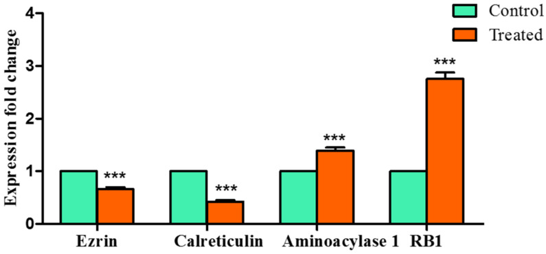 Figure 10