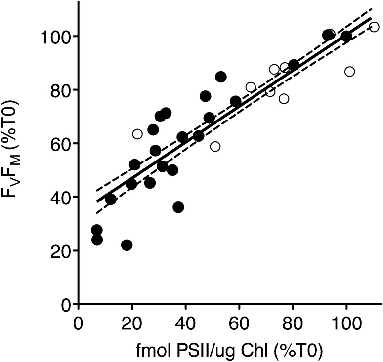 Figure 11.