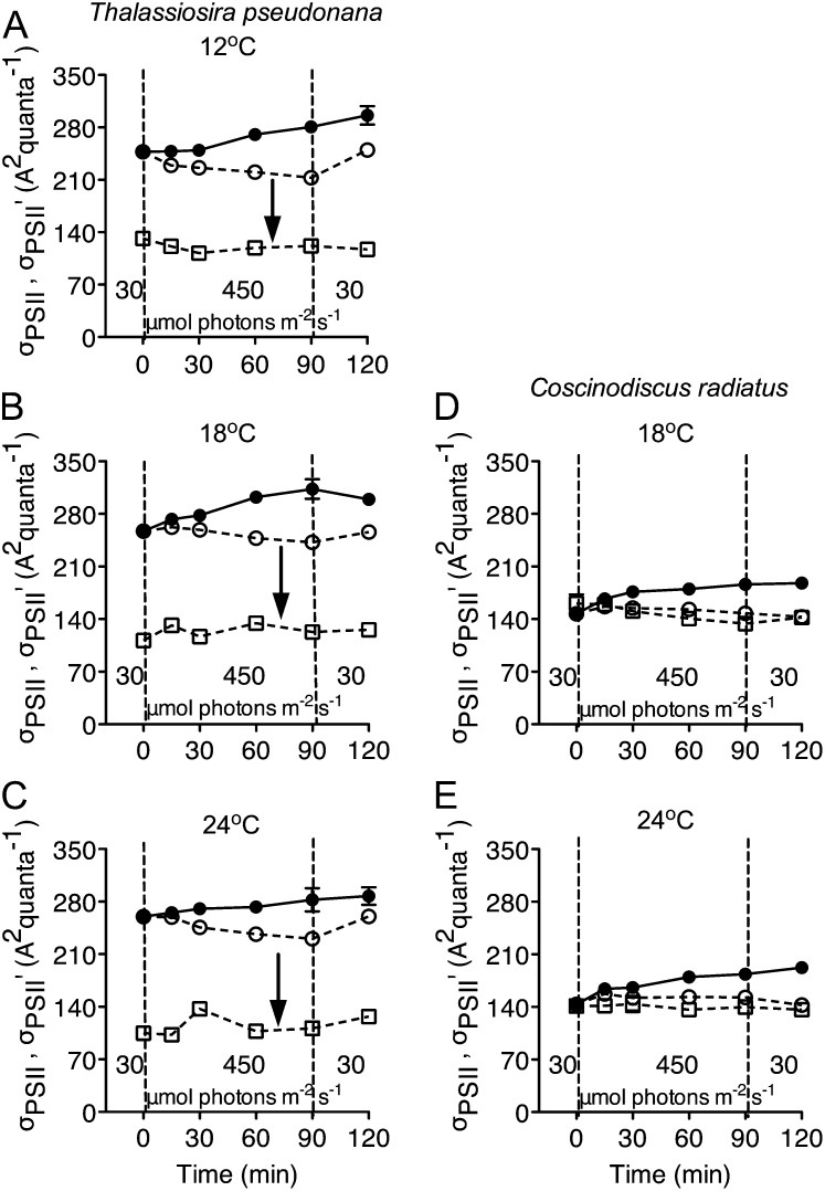 Figure 7.