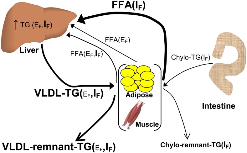 FIGURE 3