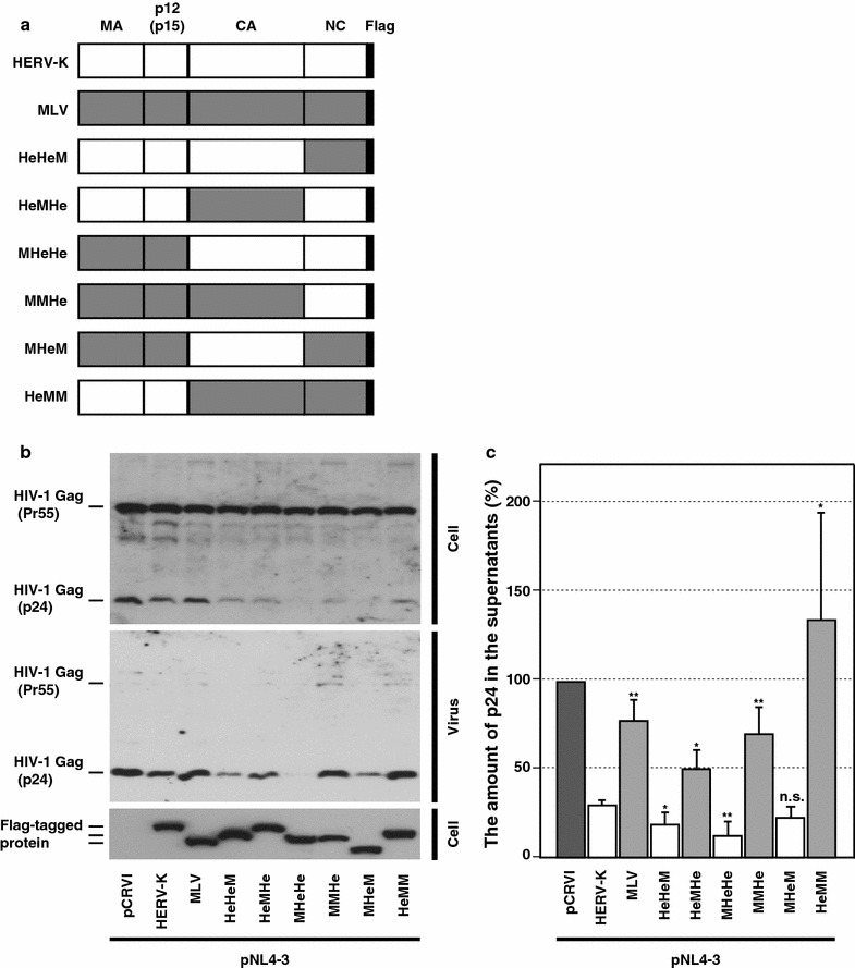 Fig. 3