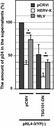 Fig. 5