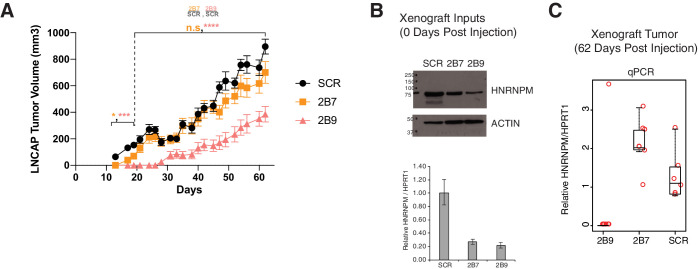 Figure 2—figure supplement 2.