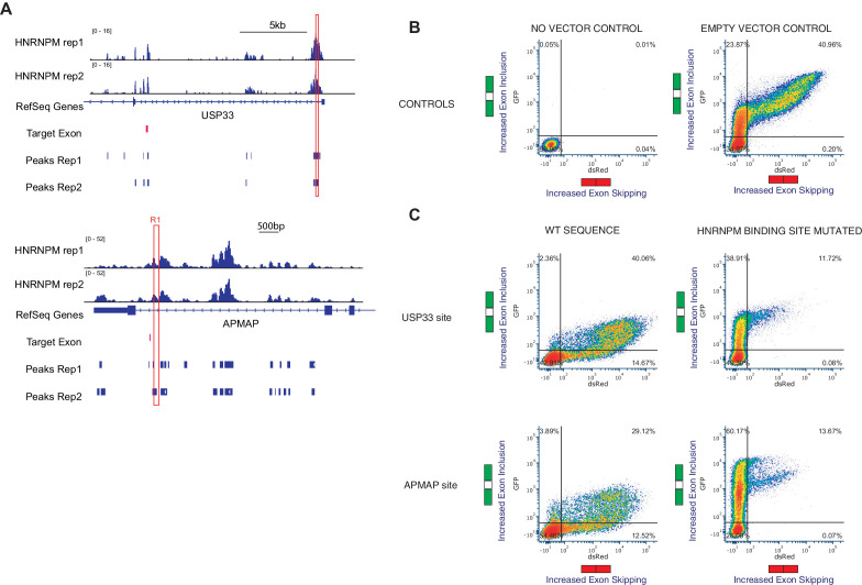 Figure 6—figure supplement 1.