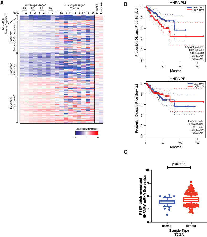 Figure 1—figure supplement 1.