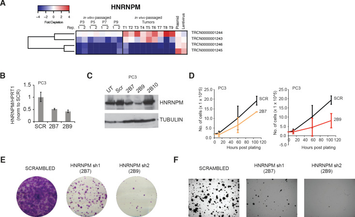 Figure 2—figure supplement 1.