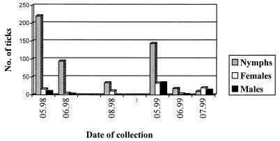 FIG. 1