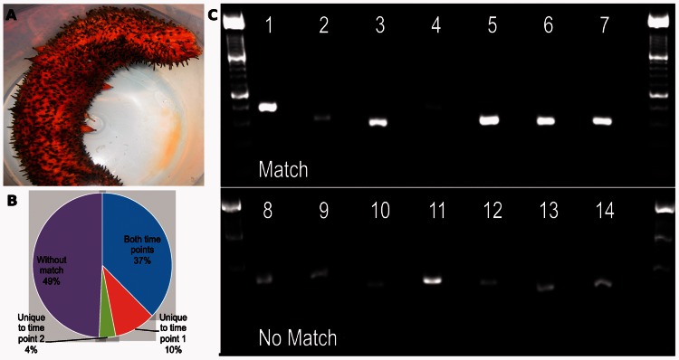 Figure 4.