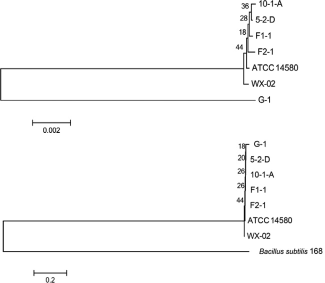 FIG 2