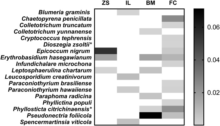 Fig 5