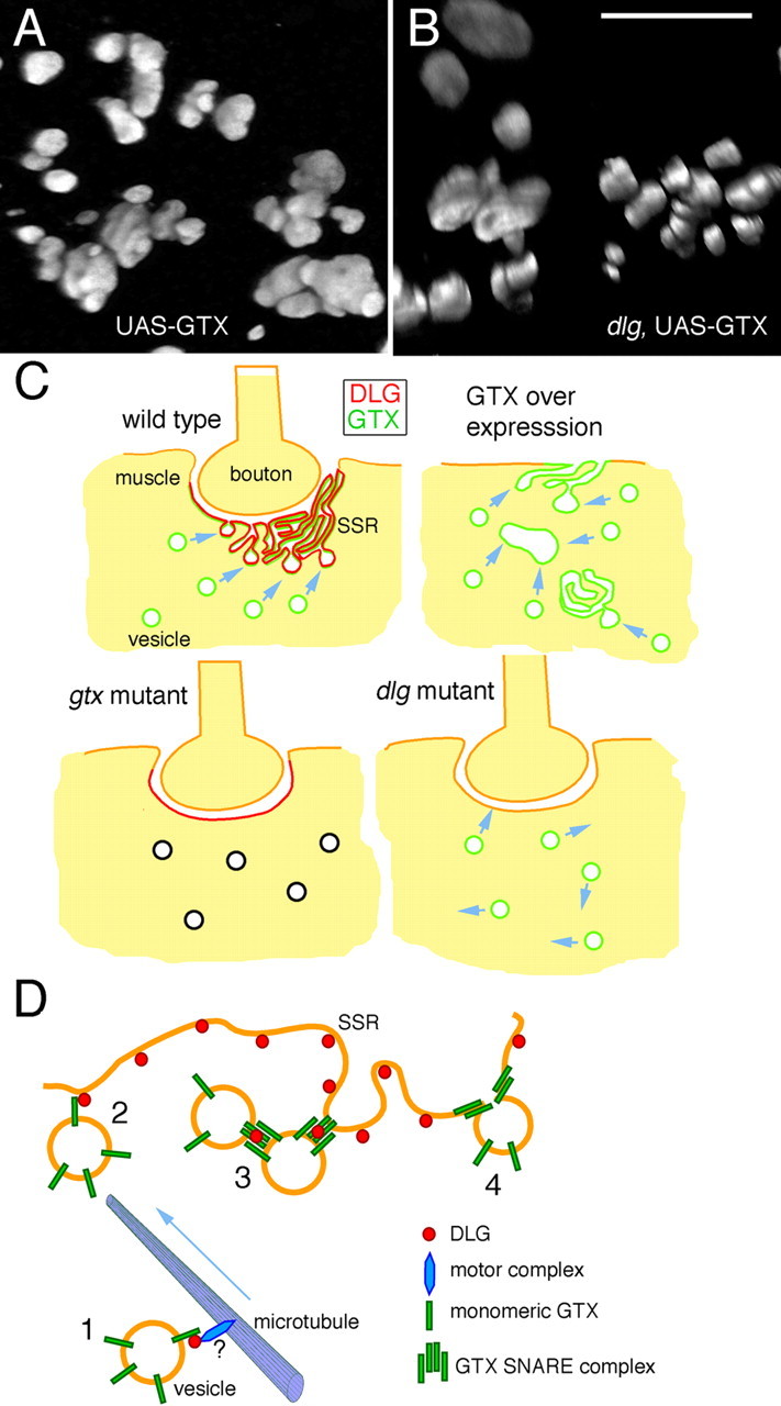 Figure 9.