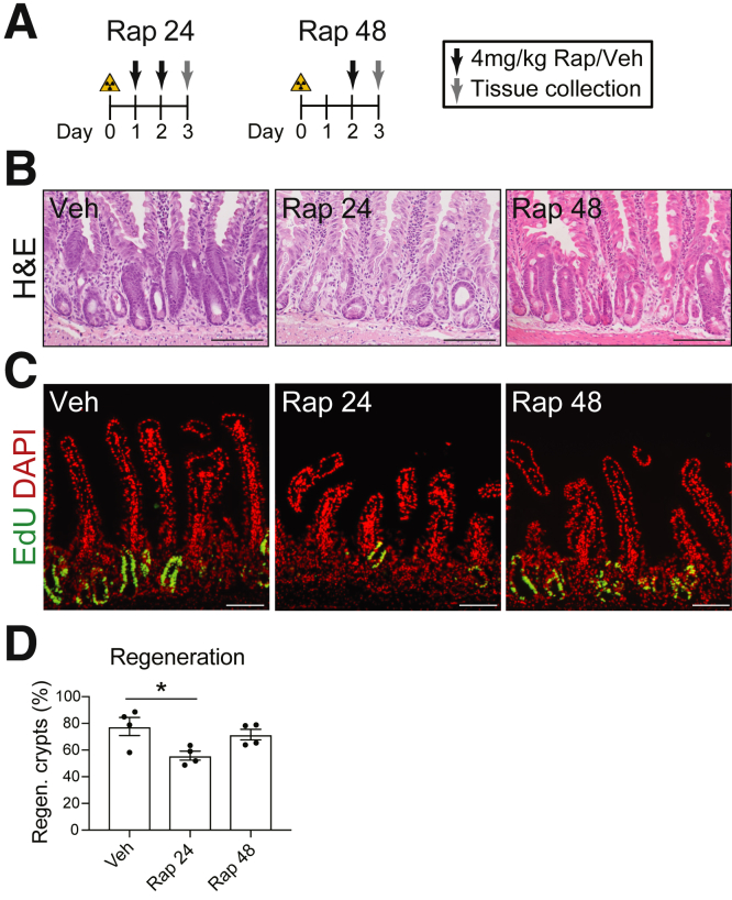 Figure 6