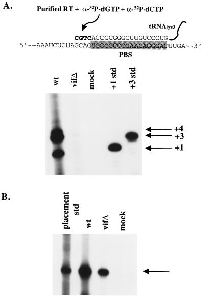 FIG. 6