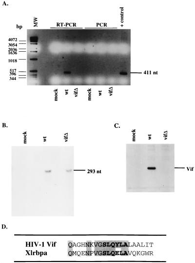 FIG. 5