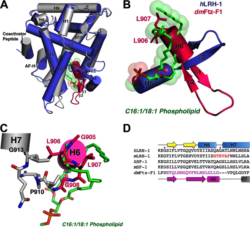 FIGURE 3.