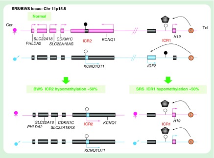 Figure 3. 